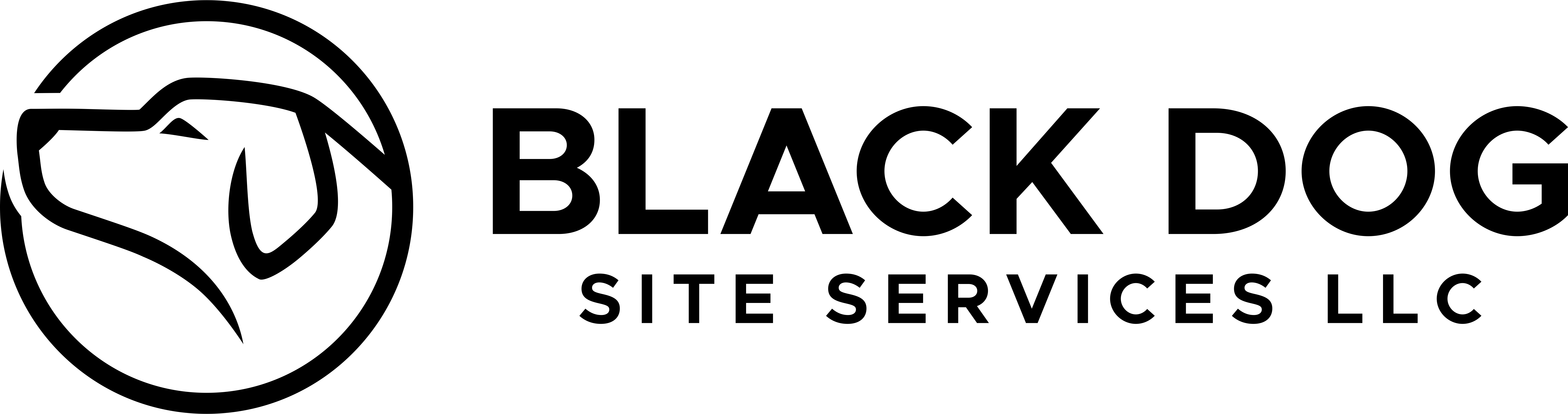 HIGH RESOLUTION 12X24 BLACK PNG FORMAT