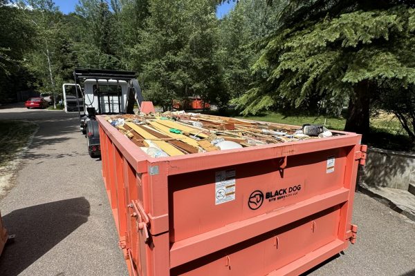 Photo Jun 24 2024, 3 20 23 PM