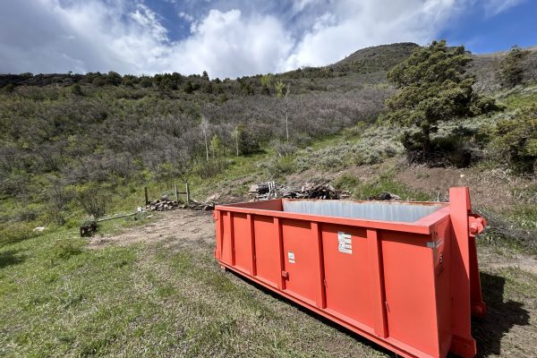 Photo May 29 2024, 3 19 18 PM